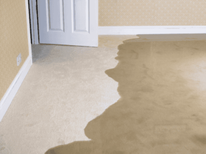 Slab Leak inside a house