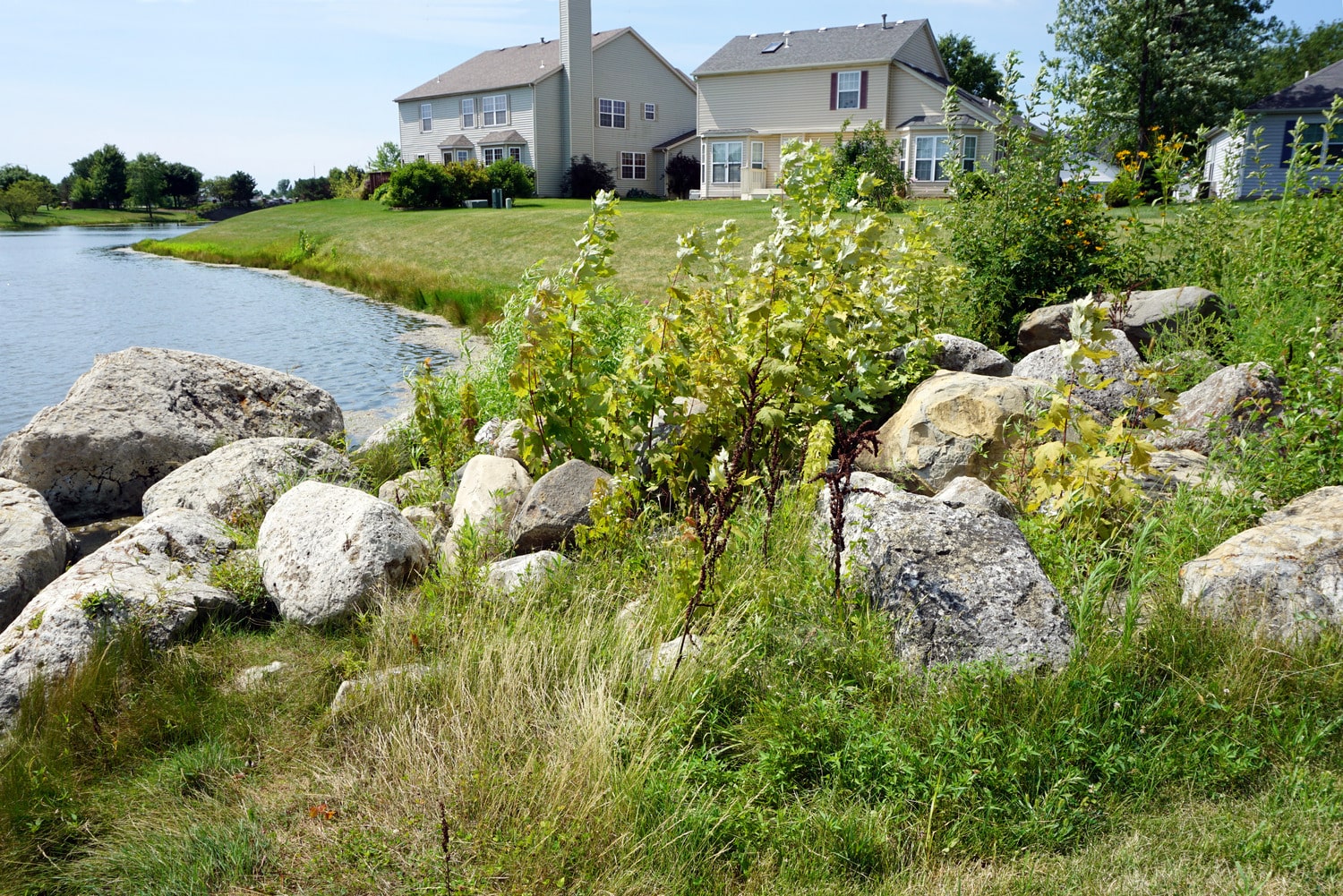 commercial building exterior landscaping and parking lot